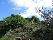 mtorr22 013